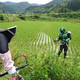 Illustration for article titled In Japan, Theres a Superhero Who...Plants Rice
